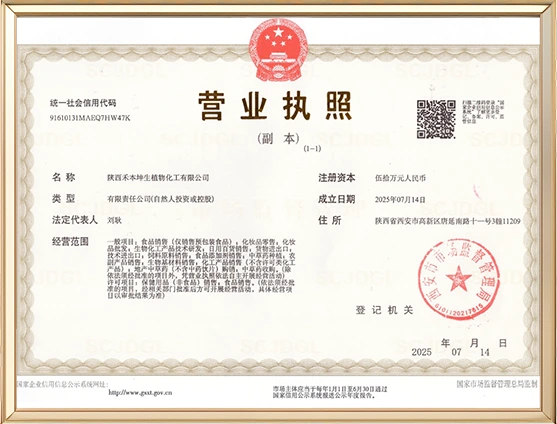 Business License